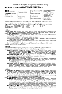 HORSE in TRAINING, Consigned by John Best Racing the Property of a Gentleman Will Stand at Park Paddocks, Solario Yard A, Box 9
