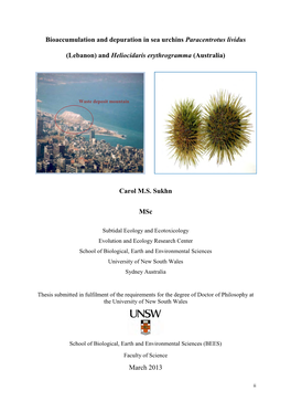 Bioaccumulation and Depuration in Sea Urchins Paracentrotus Lividus