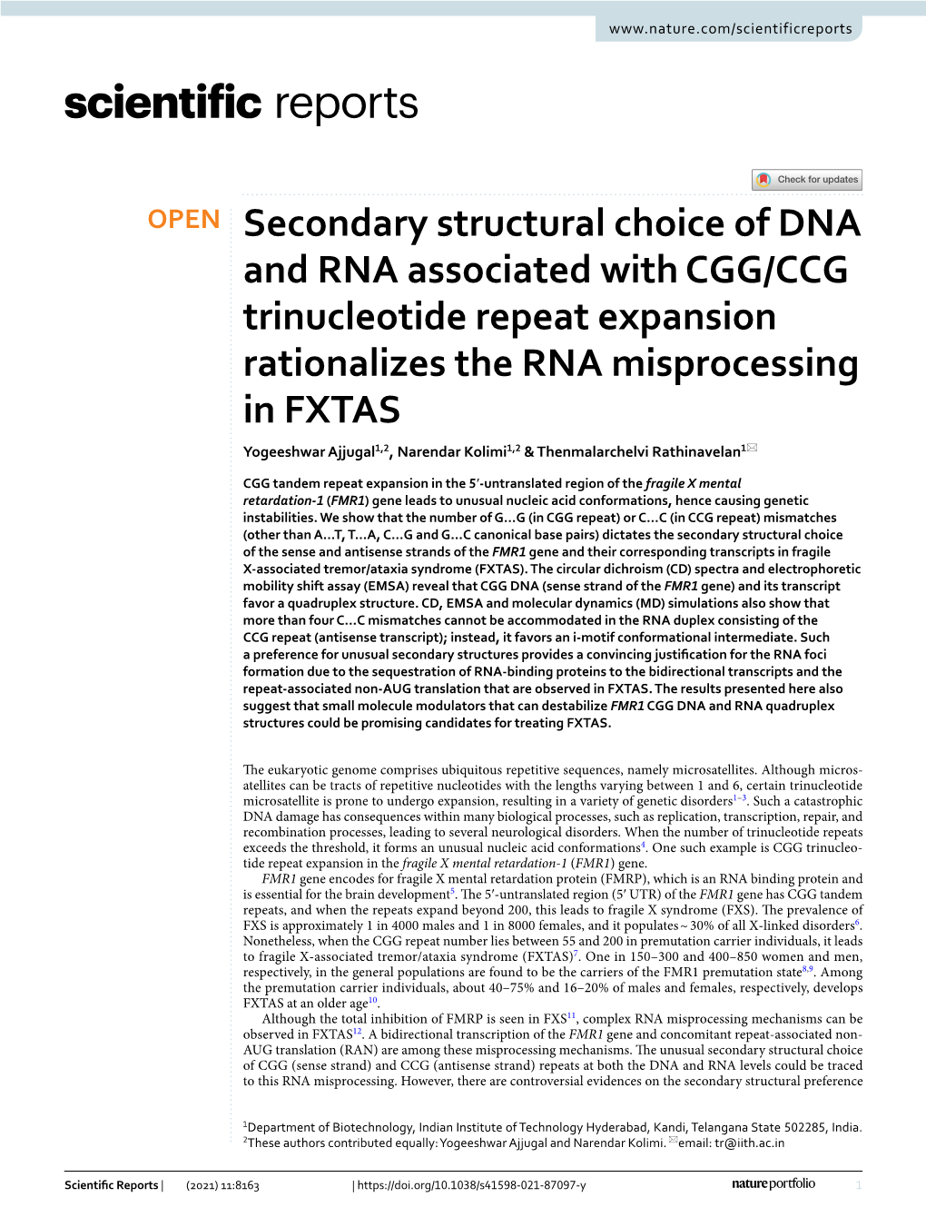 Secondary Structural Choice of DNA and RNA Associated with CGG