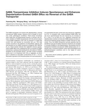 GABA Transaminase Inhibition Induces Spontaneous and Enhances Depolarization-Evoked GABA Efflux Via Reversal of the GABA Transpo