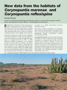 New Data from the Habitats of Corynopuntia Marenae and Corynopuntia Reflexispina