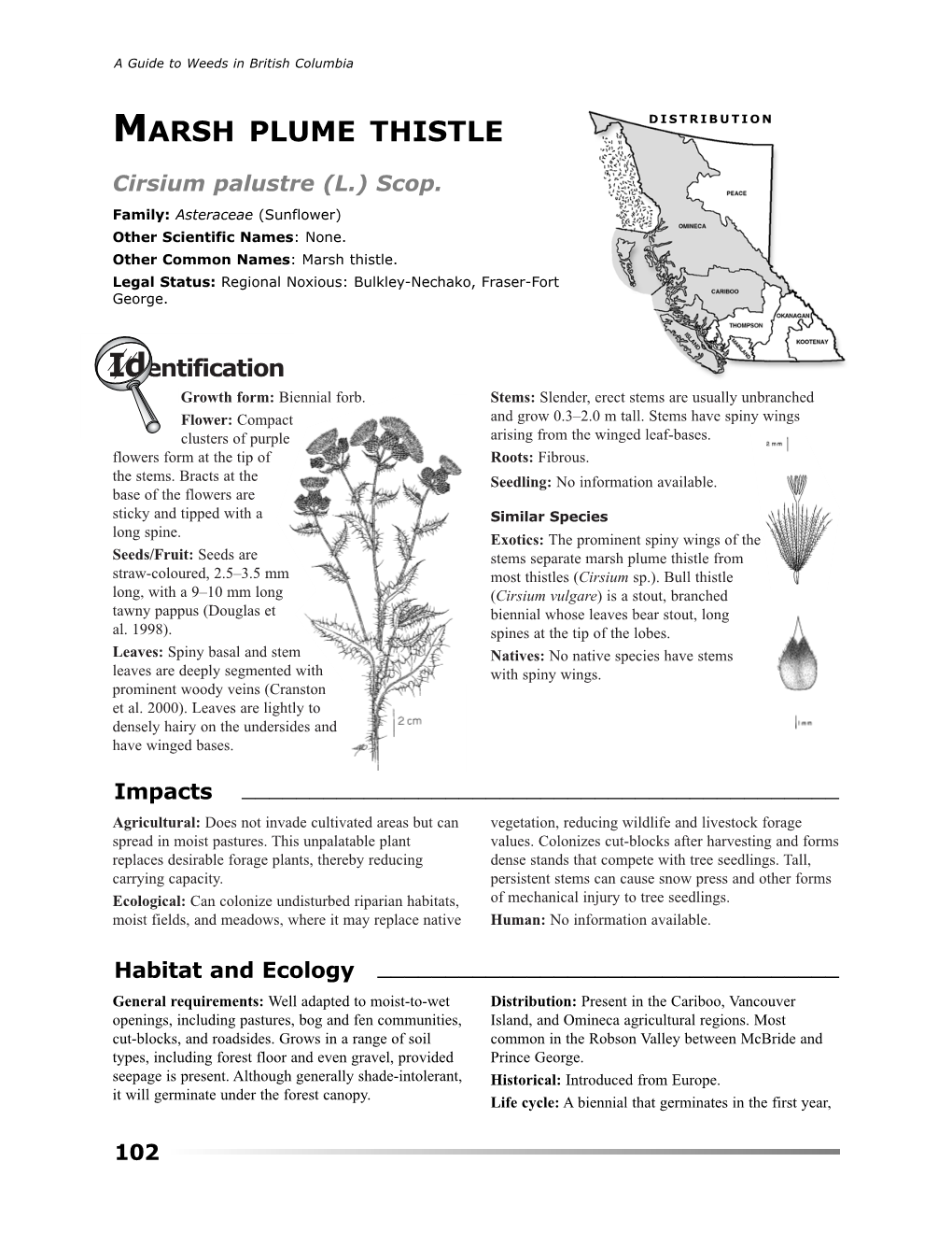 Marsh Plume Thistle Distribution