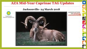 AZA Mid-Year Caprinae TAG Updates