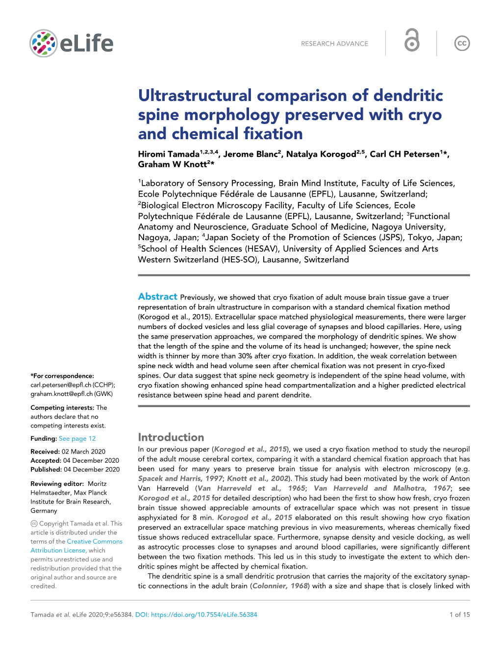 Ultrastructural Comparison of Dendritic Spine Morphology Preserved With