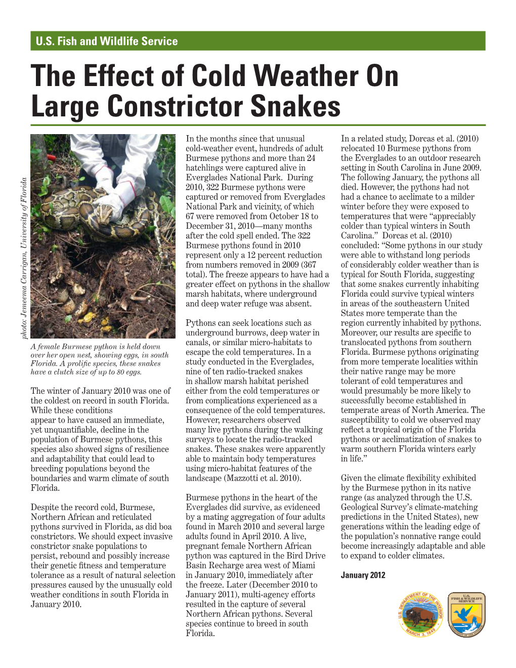The Effect of Cold Weather on Large Constrictor Snakes