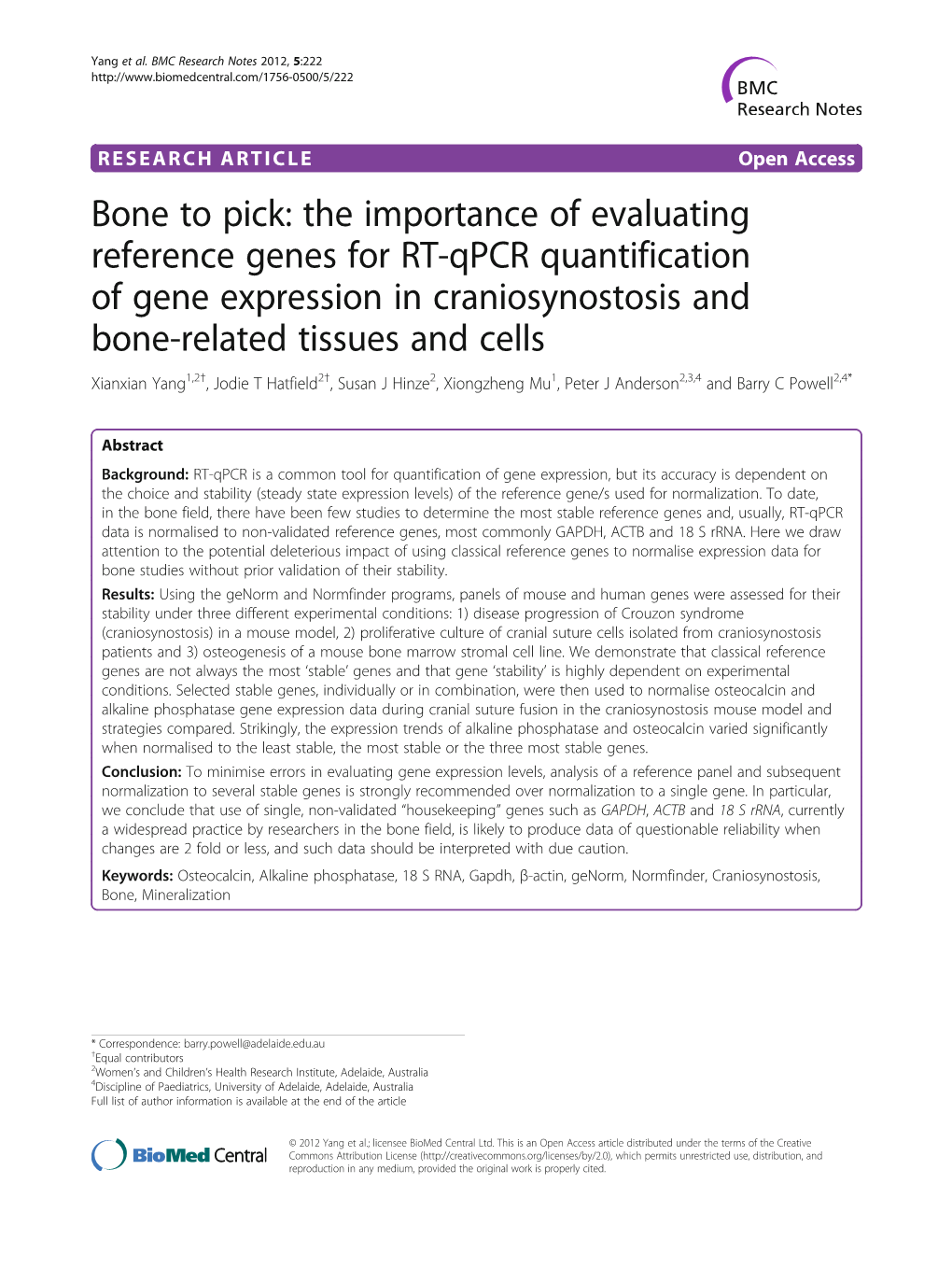 Bone to Pick: the Importance of Evaluating Reference Genes for RT