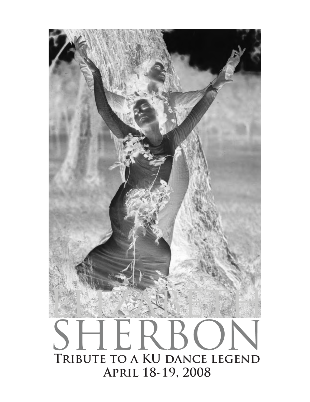 Celebrating Elizabeth Sherbon