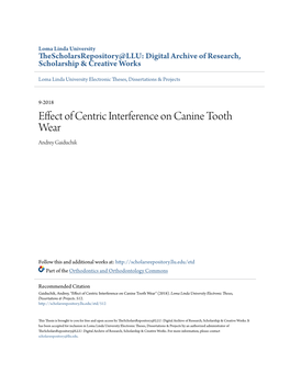 Effect of Centric Interference on Canine Tooth Wear Andrey Gaiduchik