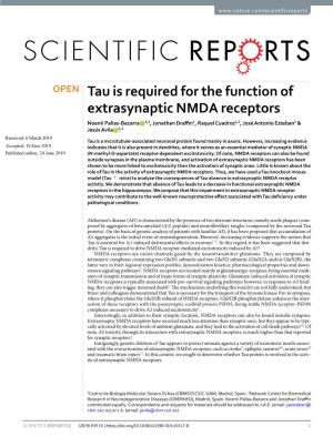 Tau Is Required for the Function of Extrasynaptic NMDA Receptors