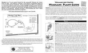 Niaulani Plant Guide