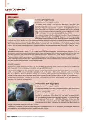 Apes Overview