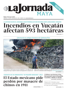 Incendios En Yucatán Afectan 593 Hectáreas ITZEL CHAN / P 3