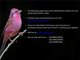 • the Following Pages Have Some Identification Markers for Each of the Finch Found in India • to Know More on These Birds Yo