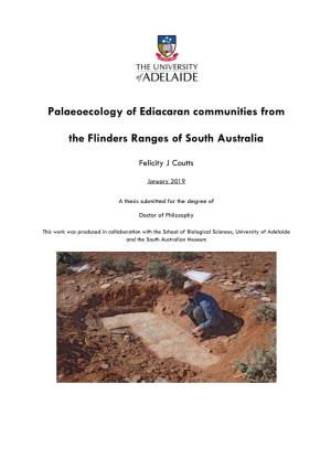 Palaeoecology of Ediacaran Communities from the Flinders