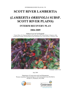 Lambertia Orbifolia Subsp