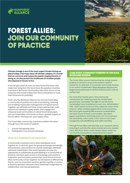 Forest Allies: Join Our Community of Practice