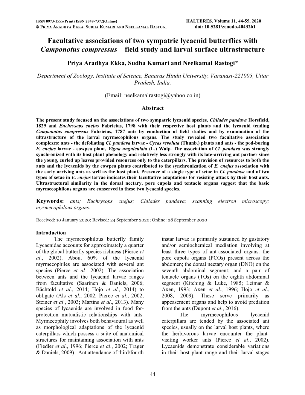 Facultative Associations of Two Sympatric Lycaenid Butterflies with Camponotus Compressus – Field Study and Larval Surface Ultrastructure