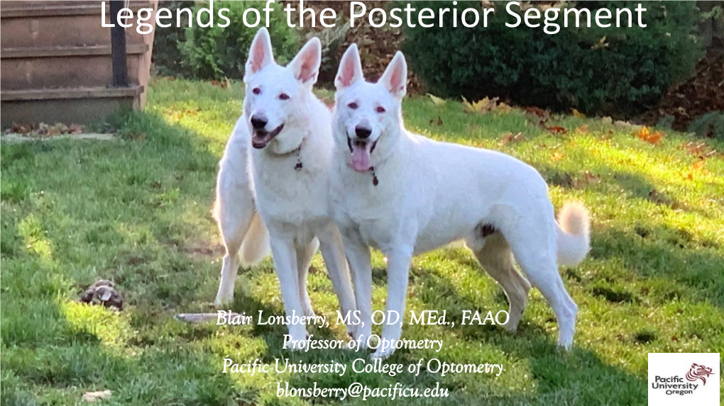 Legends of the Posterior Segment