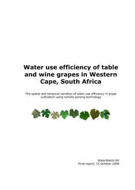 Water Use Efficiency of Table and Wine Grapes in Western Cape, South Africa 