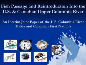 Fish Passage and Reintroduction Into the U.S. & Canadian Upper