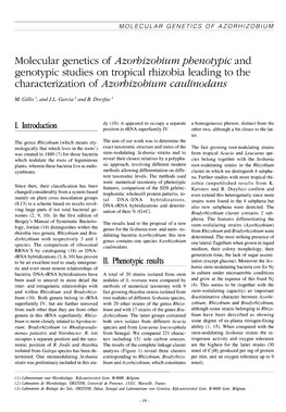 Molecular Genetics of Azorhizobium Phenotypic and Genotypic Studies on Tropical Rhizobia Leading to the Characterization of Azorhizobium Caulinodans