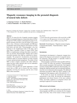 Magnetic Resonance Imaging in the Prenatal Diagnosis of Neural Tube Defects