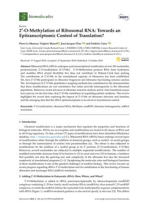 O-Methylation of Ribosomal RNA: Towards an Epitranscriptomic Control of Translation?