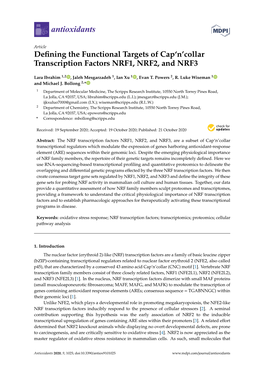 Defining the Functional Targets of Cap'n'collar Transcription Factors NRF1