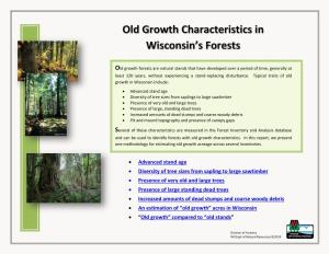 Old Growth Characteristics in Wisconsin's Forests