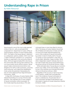 Understanding Rape in Prison by Hallie Martyniuk