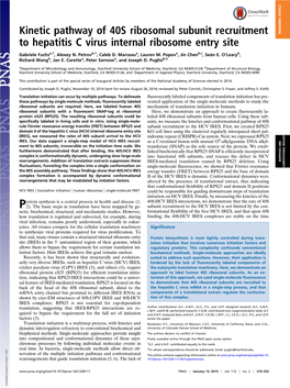 Kinetic Pathway of 40S Ribosomal Subunit Recruitment to Hepatitis C