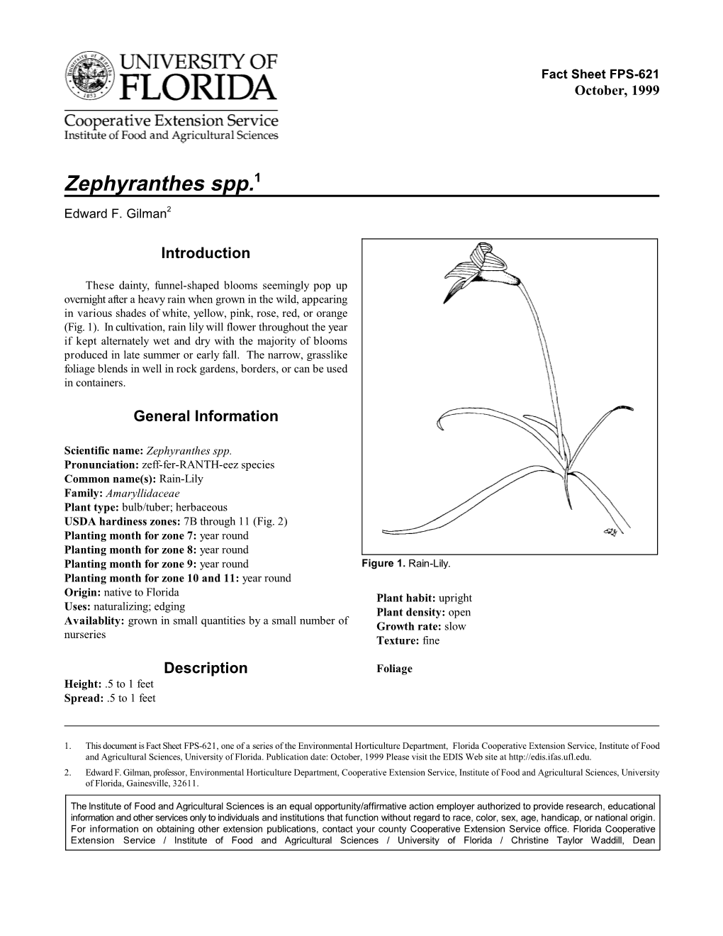 Zephyranthes Spp.1