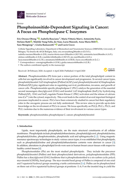 Phosphoinositide-Dependent Signaling in Cancer: a Focus on Phospholipase C Isozymes