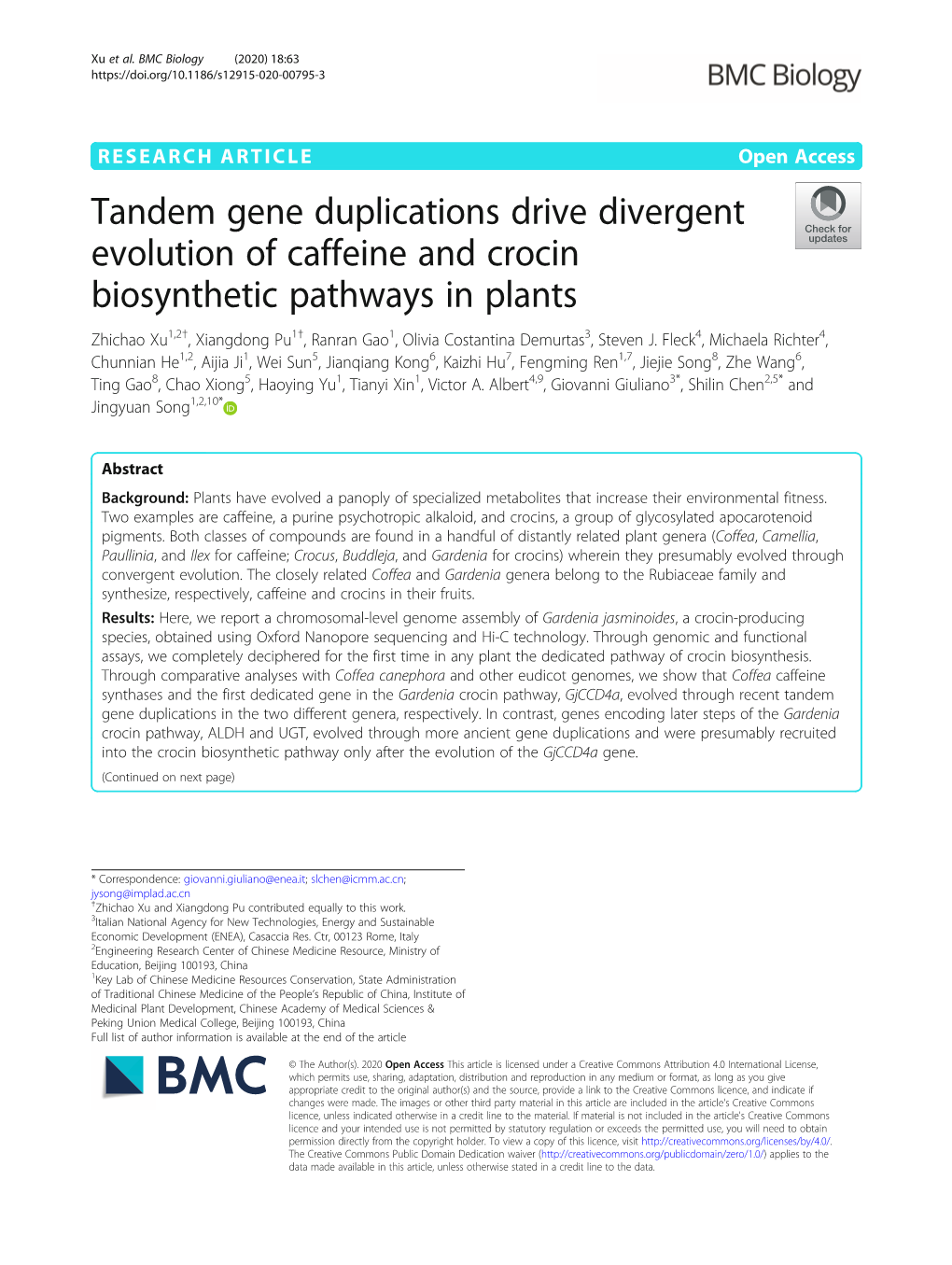 Tandem Gene Duplications Drive Divergent Evolution of Caffeine And