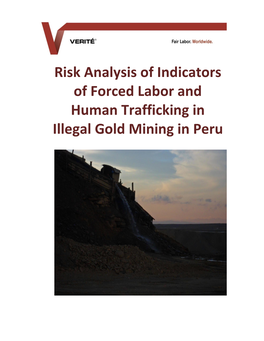 Risk Analysis of Indicators of Forced Labor and Human Trafficking In