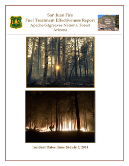 San Juan Fire Fuel Treatment Effectiveness Report Apache-Sitgreaves National Forest Arizona