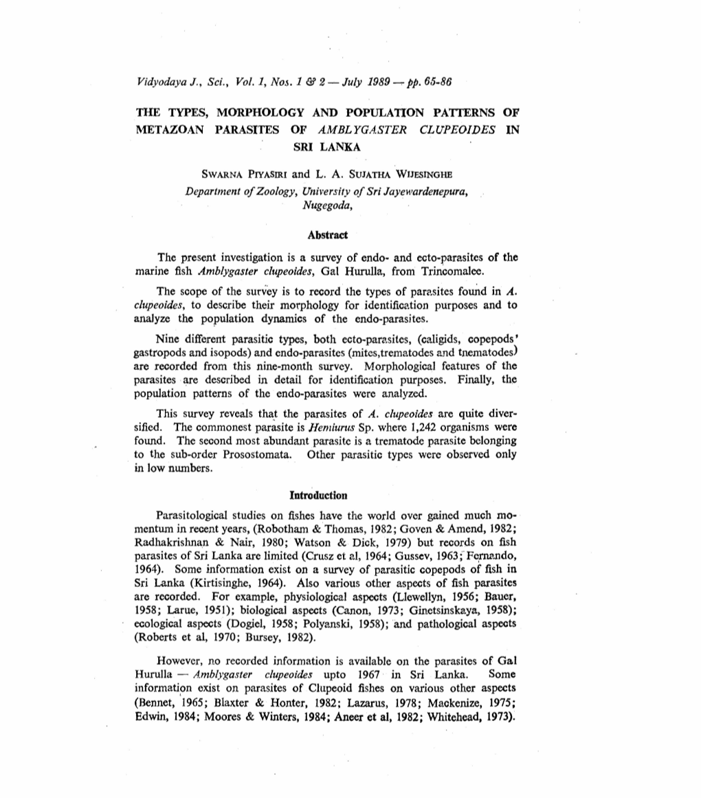 July 1989 Pp. 65-86 Tile TYPES, MORPHOLOGY AND