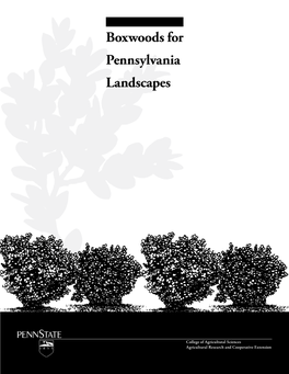 Boxwoods for Pennsylvania Landscapes