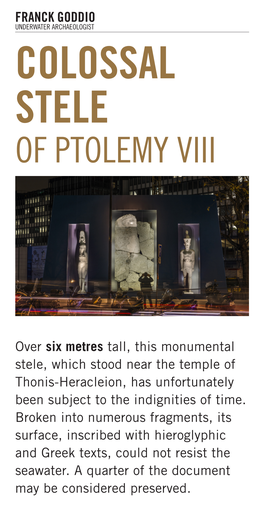 Colossal Stele of Ptolemy Viii