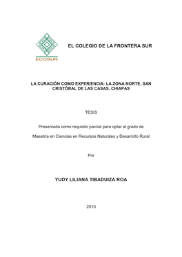 El Colegio De La Frontera Sur Yudy Liliana Tibaduiza