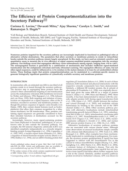 The Efficiency of Protein Compartmentalization Into The