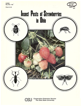 Insect Pests of Strawberries in Ohio