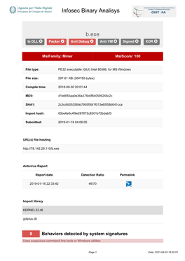 Infosec Binary Analisys B.Exe