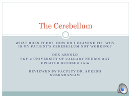 Cerebellar-Disorders.Pdf