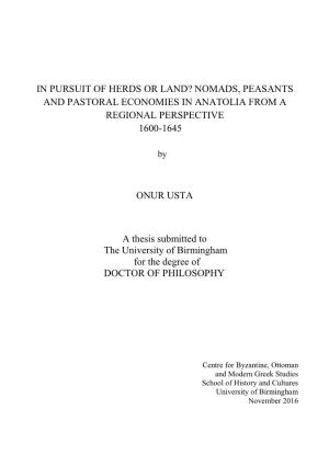 In Pursuit of Herds Or Land? Nomads, Peasants and Pastoral Economies in Anatolia from a Regional Perspective 1600-1645