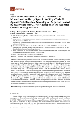 TMA-15 Humanized Monoclonal Antibody Specific for Shiga Toxin 2