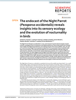 The Endocast of the Night Parrot (Pezoporus Occidentalis) Reveals Insights Into Its Sensory Ecology and the Evolution of Nocturnality in Birds Andrew N