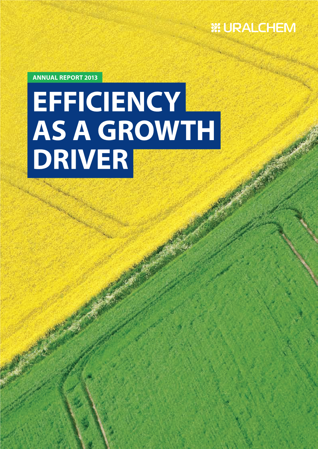 Efficiency As a Growth Driver