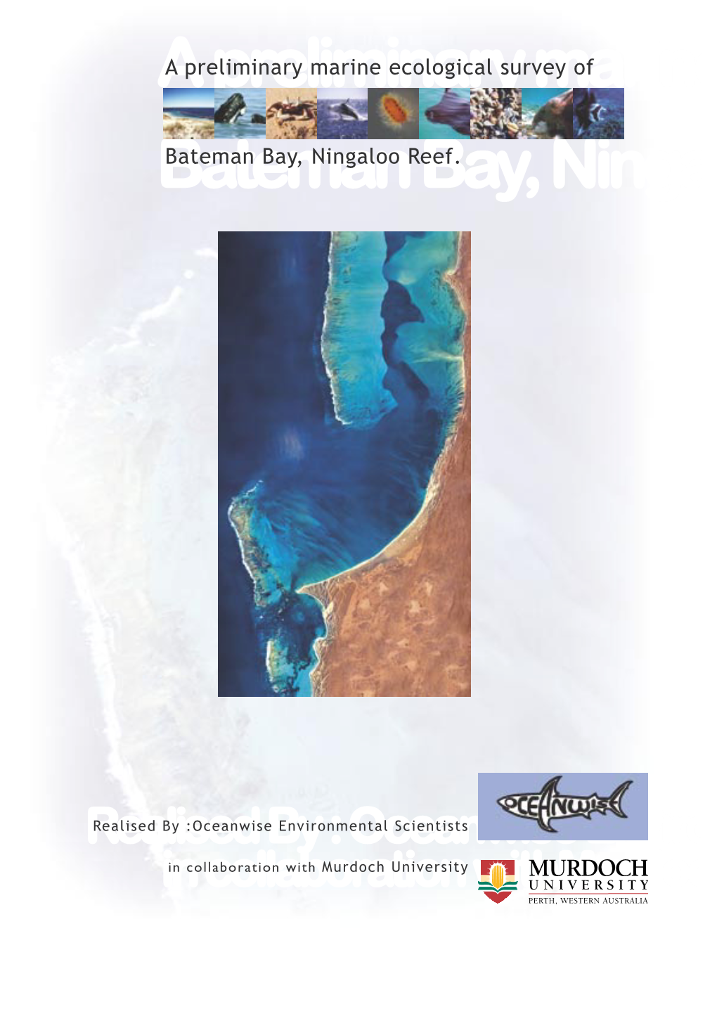 Ningaloo Doc As Pdf 14Jan03