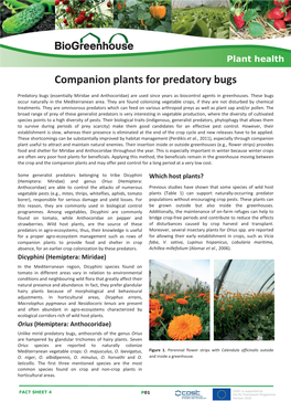 Factsheet 04 Companion Plants for Predatory Bugs.Indd